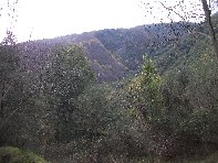 Monte Fior di Cosimo
